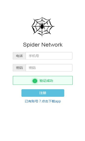 Spider Network()