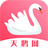 ׬Ǯv3.8