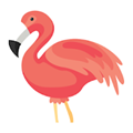 Flamingo Animator°v2.1