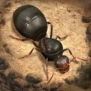 小小蚁国国际版(The Ants)v1.25.0