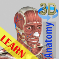 3D Bones and Organsֻv5.5