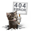 404影视电视盒子v201111