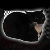 ҹ׷ģ°Night Maxwell Cat Simulatorv7.5