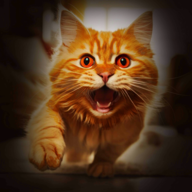 èսģϷٷ(Cat Fighting Battle Simulator)v1.0
