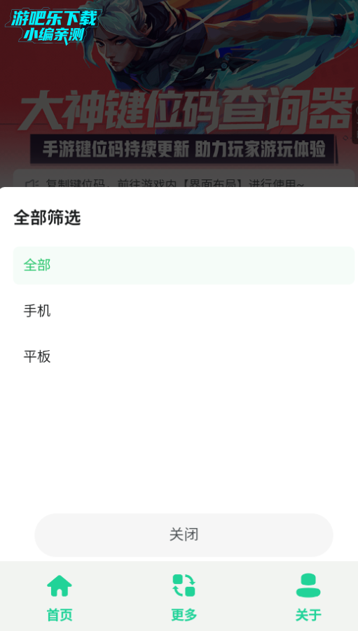 无畏键位助手安卓版下载 无畏键位助手安卓版下载