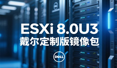 ESXi 8.0U3戴尔定制版 ESXi 8.0U3下载安装 ESXi 8.0U3戴尔定制版 ESXi 8.0U3下载安装