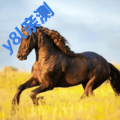 YourTvĵ°v2.1.3