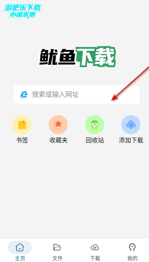 鱿鱼下载免费版 鱿鱼下载免费版