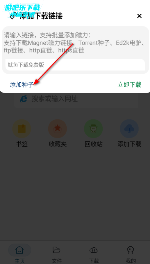 鱿鱼下载免费版 鱿鱼下载免费版