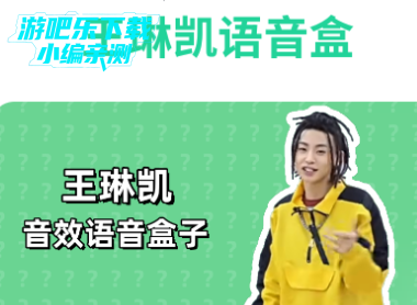 王琳凯语音盒手机版 王琳凯语音盒手机版