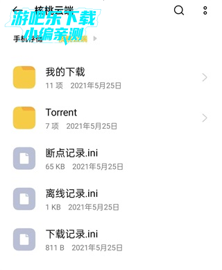 下载的文件在哪里配图1
