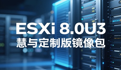 ESXi 8.0U3붨ưô ESXi 8.0U3붨ư