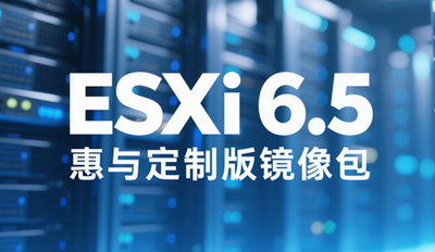 ESXi 6.5붨ư澵 ESXi 6.5붨ư