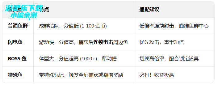 ��������粨������