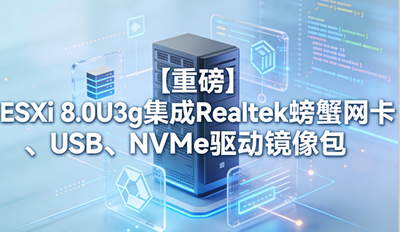 esxi8.0�ļ����з������������ ESXi 8.0U3g����Realtek�з������USB��NVMe������������ص�ַ