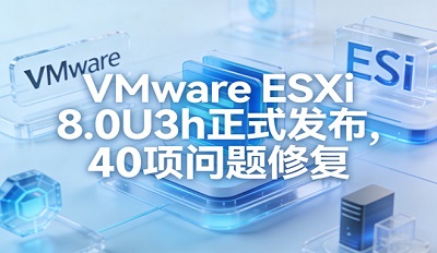 VMware ESXi 8.0U3h��ʽ���� 40�������޸� ȫ�µ�ESXi