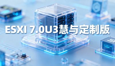 ESXi 7.0U3���붨�ư��������� ���붨�ư���ʲô��˼