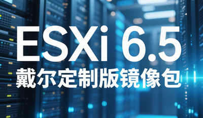 ESXi 6.5�������ư��������� ESXi 6.5 DELL(����)����