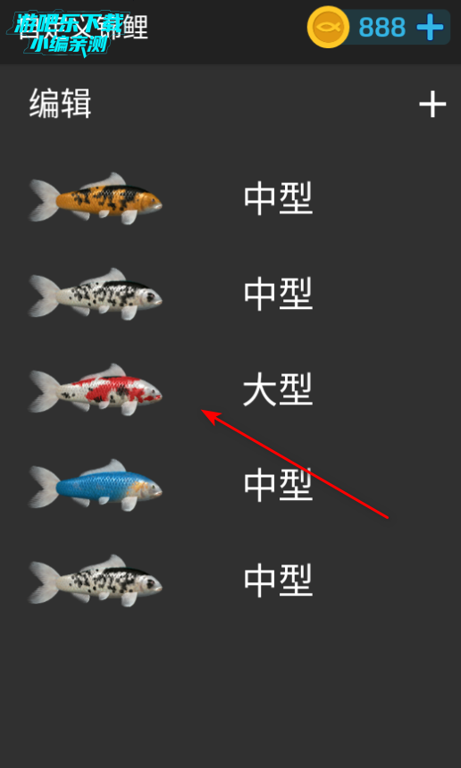ˮرֽ