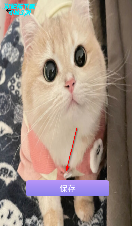 СȦֽ
