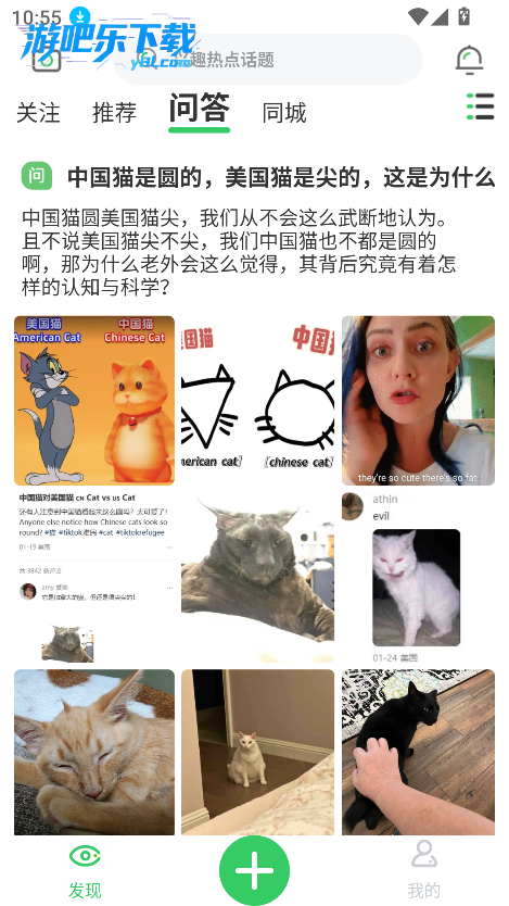 预览图4