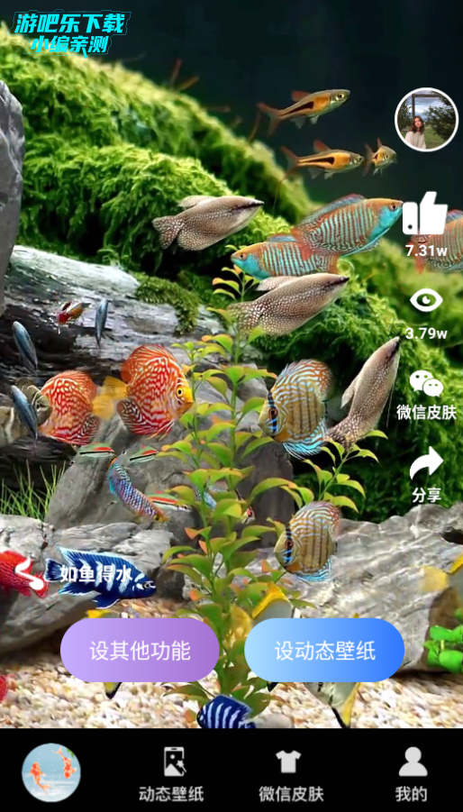 ֽ̬