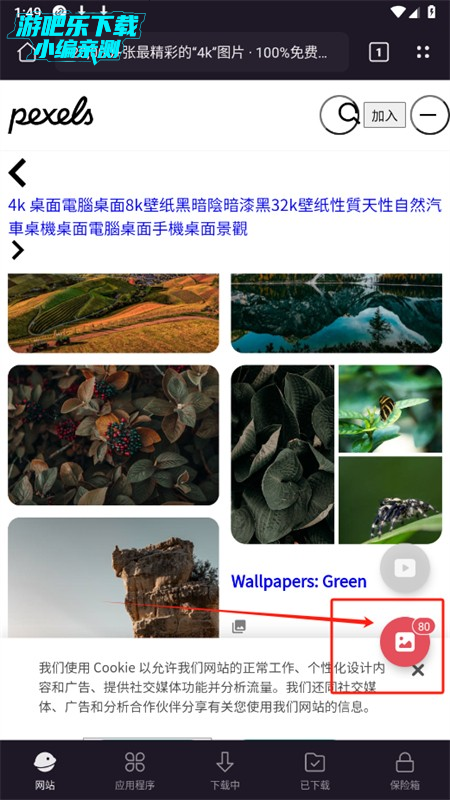 X ߼(X Downloader)appֻ
