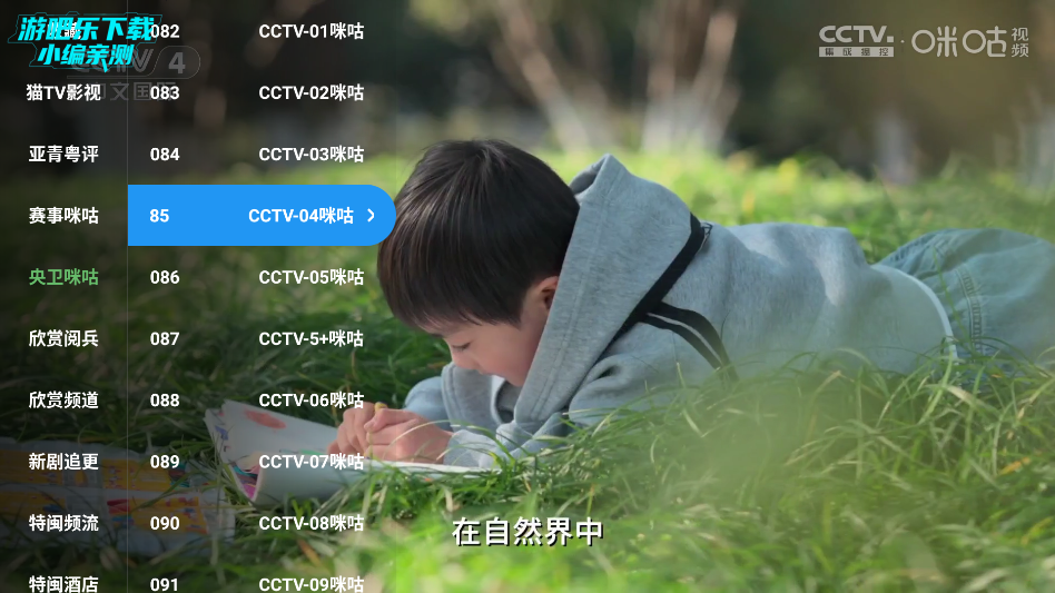 TV