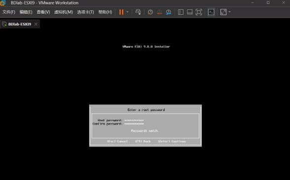 ESXi 9.0̳ ESXi 9.0ô