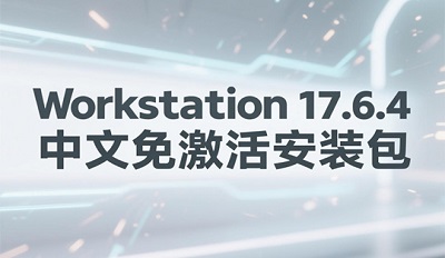 Workstation 17.6.4 ⼤װ صַ