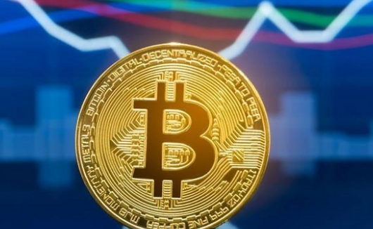 ����Ҷ����г���ʲô������Ҷ����г�����Щƽ̨��