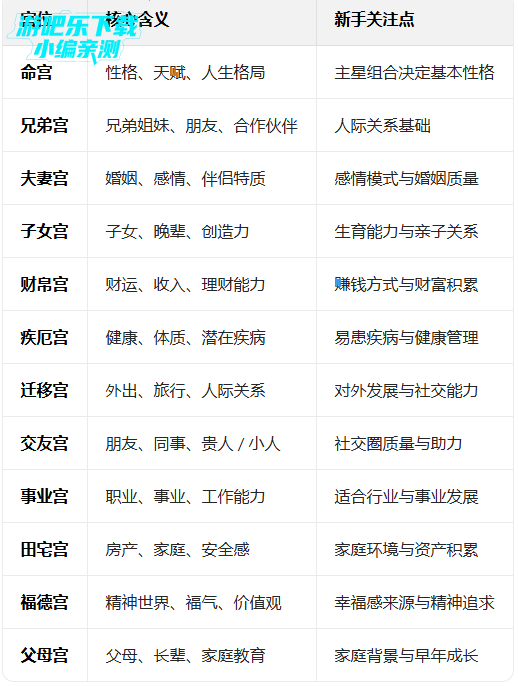 文墨天机在线命盘免费版下载 文墨天机在线命盘免费版下载