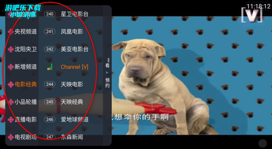 飞鱼电视最新版下载2026 飞鱼电视最新版下载2026