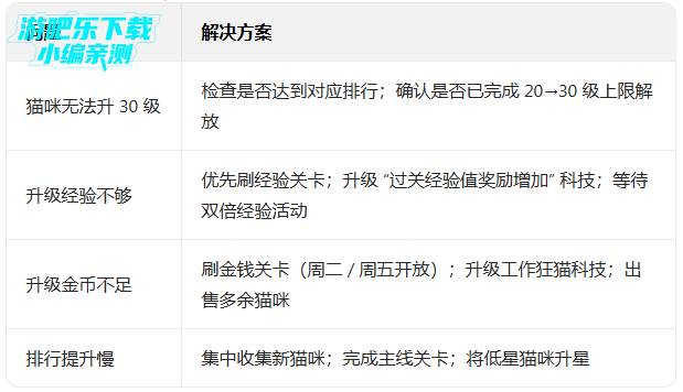 猫咪大战争破解版下载可扭蛋2026 猫咪大战争破解版下载可扭蛋2026