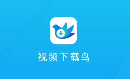 ��Ƶ������߼���