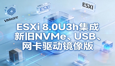 ESXi 8.0U3h�����¾�NVMe��USB���������������������