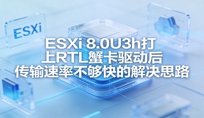 ESXi 8.0U3h����RTLз�������������ʲ����� ��ô���