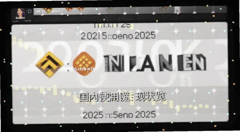 币安网2025国内使用现状预览图
