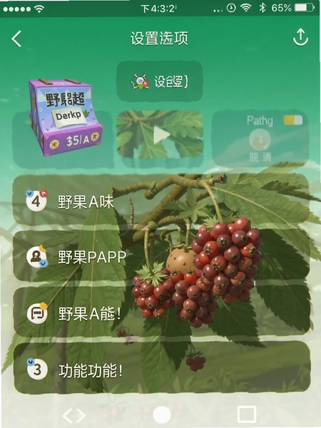 Ұ��APP���ý��湦��ѡ���ͼ