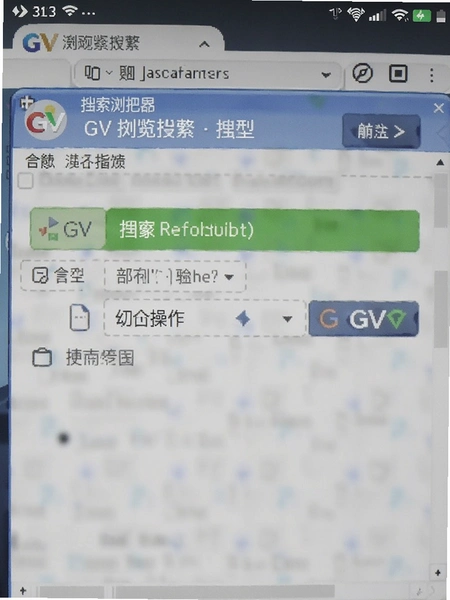 GV浏览器搜索引擎切换操作截图