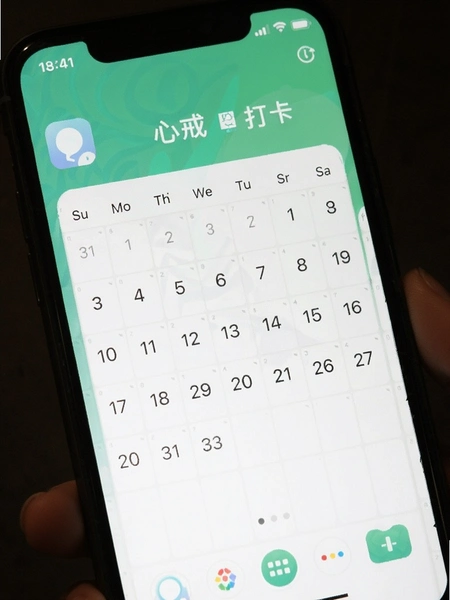 �Ľ�app����������