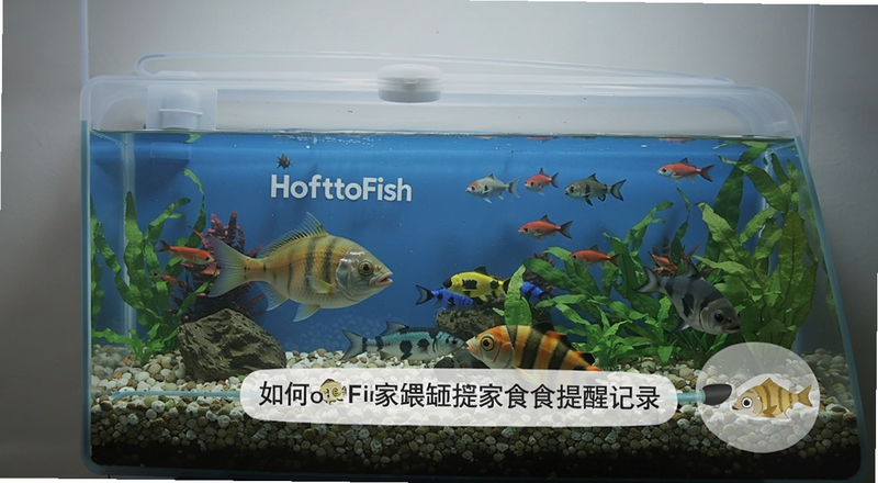 HowtoFish鱼缸管家喂食提醒与记录功能预览图