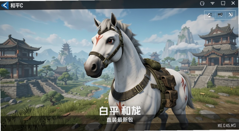 和平精英白龙马直装最新版安装包界面预览图