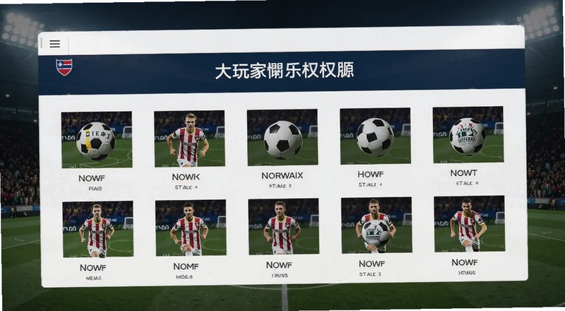 足球大玩家挪威国家队授权版资源界面预览图