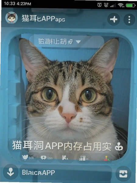 è����APP�ڴ�ռ��ʵ���ͼ
