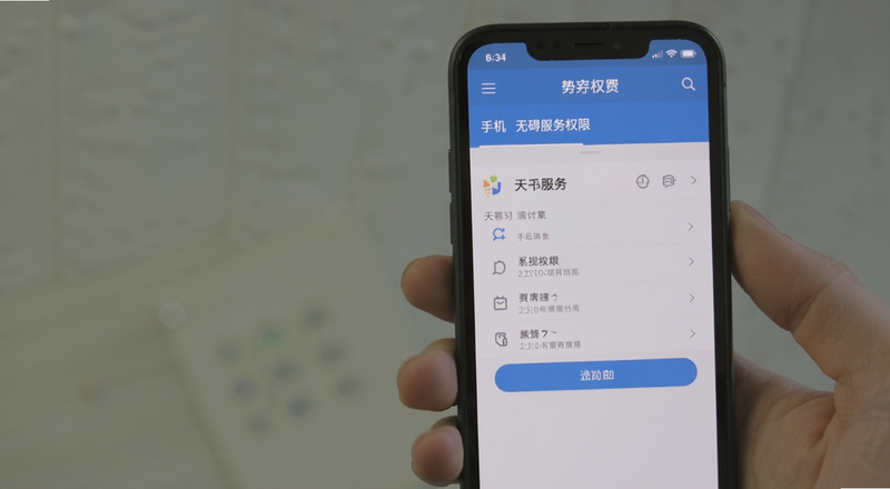 手机无障碍服务权限设置页面预览图