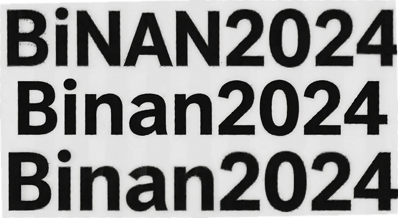 binan2024���½�չ����Щ binan2024������ʲô��˼