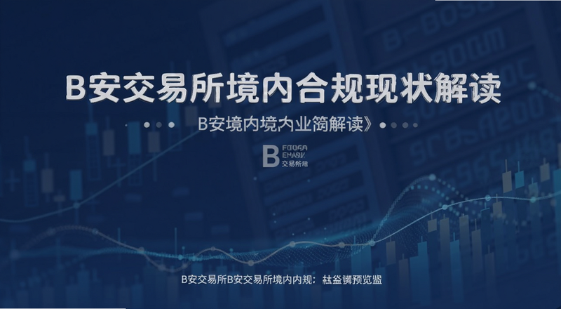B安交易所境内合规现状解读封面图|B安交易所境内合规现状解读预览图