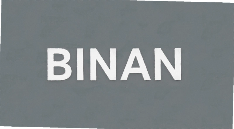 binan�����ôѡ 2025��binan�����Ƽ���ܿ�ָ��
