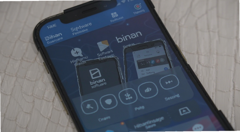 binan软件手机端主界面功能预览图